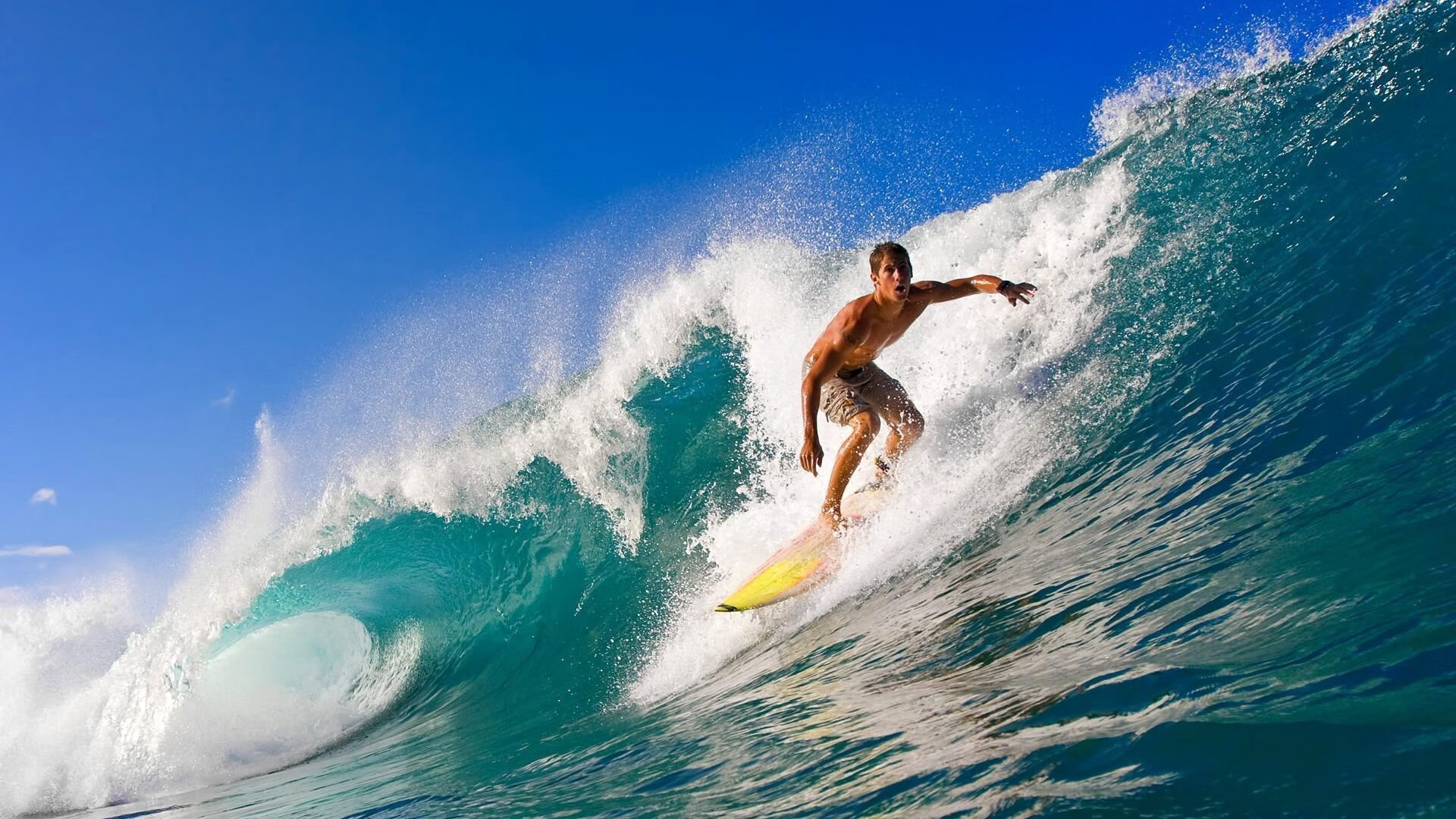 费德勒重要时刻出色发挥，巴塞罗那带队取胜！上演精彩一战